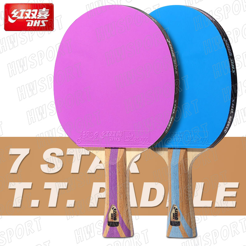 DHS-raqueta de tenis de mesa d - Table Tennis Joola reseña y precio