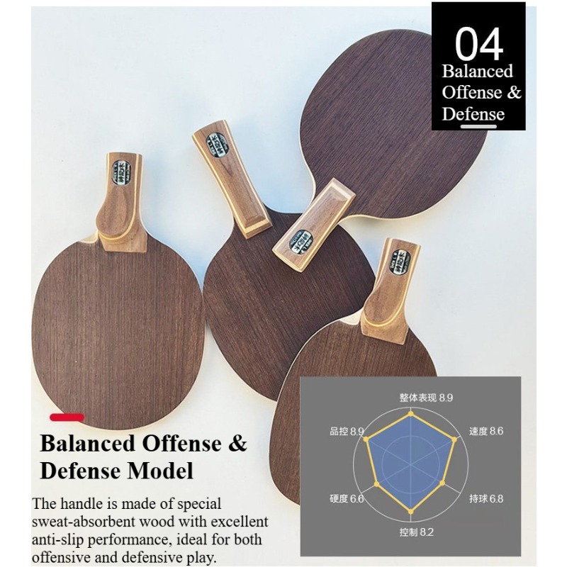 Pala de tenis de mesa profesio - Table Tennis Games reseña y precio