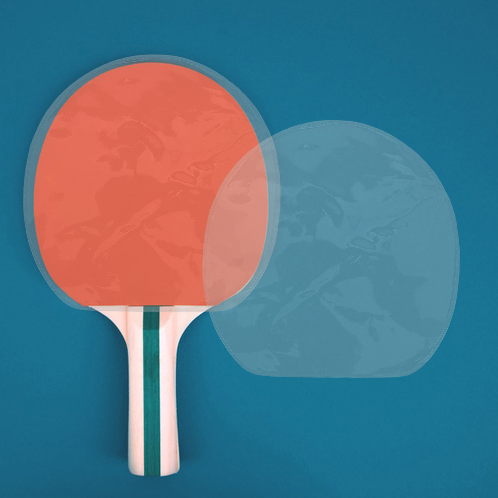 Película protectora para raque - Table Tennis Protective Cover reseña y precio
